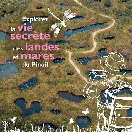 Le Jardin D'eden : Superbe Face A La Foret Villa
