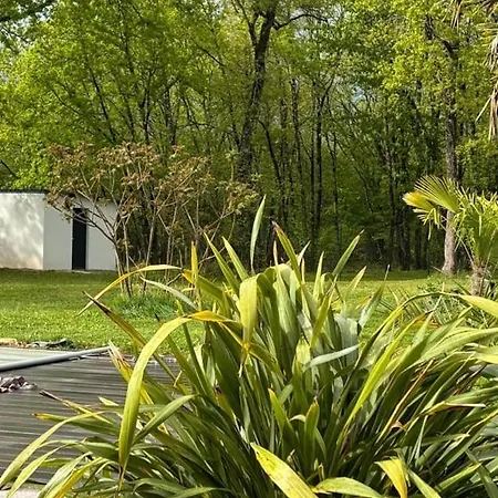 Le Jardin D'eden : Superbe Face A La Foret *