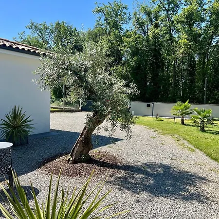 Hotel Le Jardin D'eden : Superbe Face A La Foret