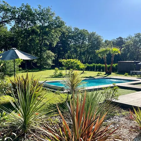 Le Jardin D'eden : Superbe Face A La Foret Villa *